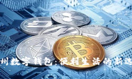 常州数字钱包：便利生活的新选择