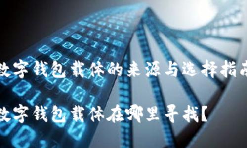 数字钱包载体的来源与选择指南

数字钱包载体在哪里寻找？