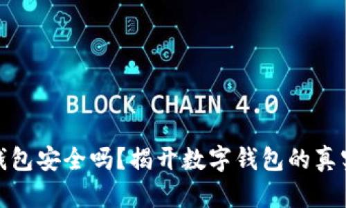 小狐钱包安全吗？揭开数字钱包的真实面纱