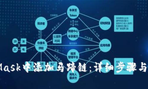 如何在MetaMask中添加马蹄链：详细步骤与常见问题解答