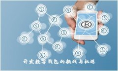开发数字钱包的挑战与机
