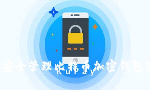 如何安全管理比特币加密钱包密码？