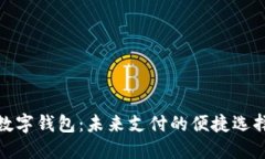 数字钱包：未来支付的便