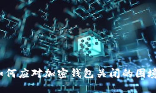 如何应对加密钱包关闭的困境？