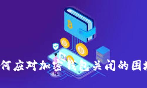 如何应对加密钱包关闭的困境？