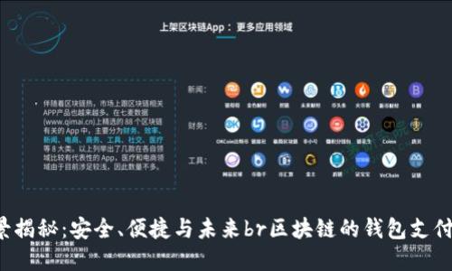 区块链钱包支付的全景揭秘：安全、便捷与未来br区块链的钱包支付：安全与便捷的未来br