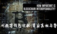 福州数字钱包被抓：背后