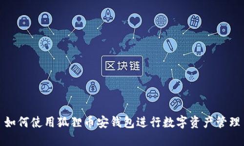 如何使用狐狸币安钱包进行数字资产管理