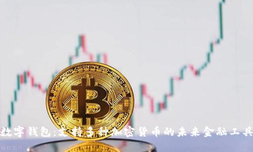数字钱包：支持多种加密货币的未来金融工具