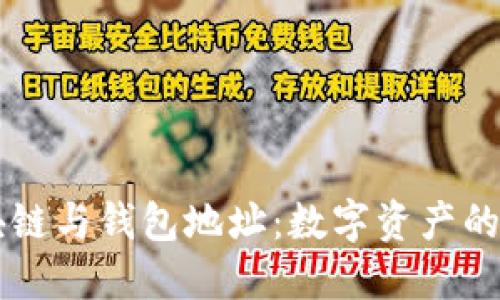 区块链与钱包地址：数字资产的桥梁