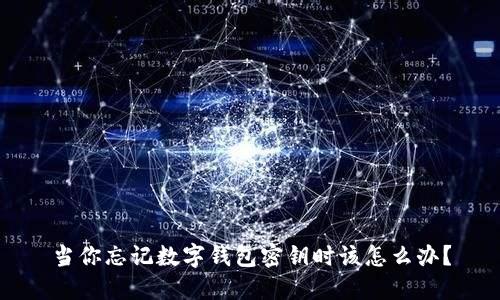 当你忘记数字钱包密钥时该怎么办？