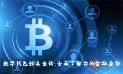 数字钱包姓名查询：全面
