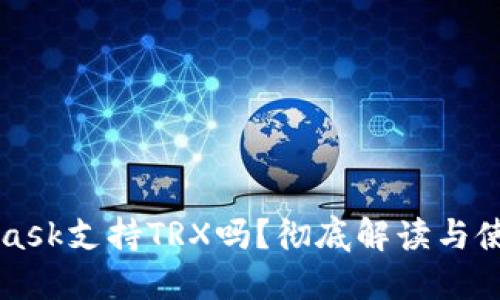 MetaMask支持TRX吗？彻底解读与使用指南