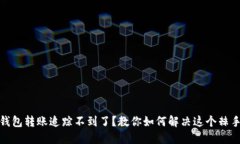 数字钱包转账追踪不到了