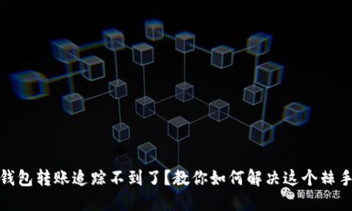 数字钱包转账追踪不到了？教你如何解决这个棘手问题