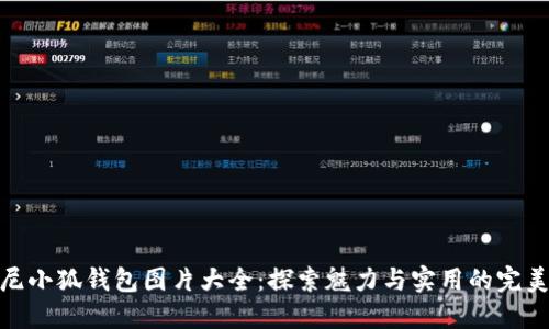 迪士尼小狐钱包图片大全：探索魅力与实用的完美结合