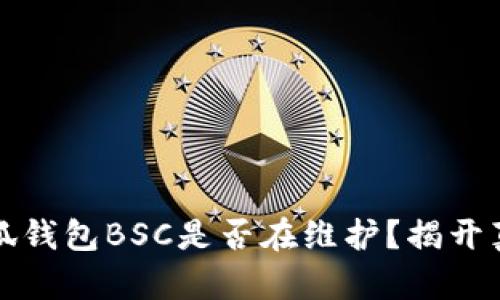 小狐钱包BSC是否在维护？揭开真相