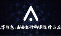 dcep数字钱包：未来支付的