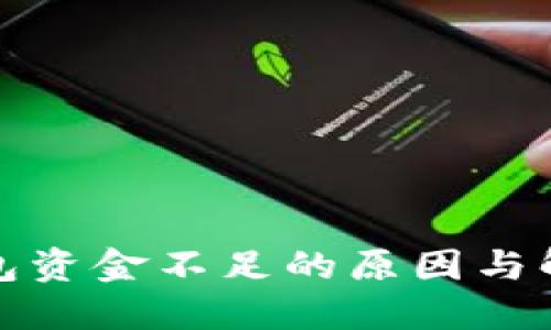 数字钱包资金不足的原因与解决方案