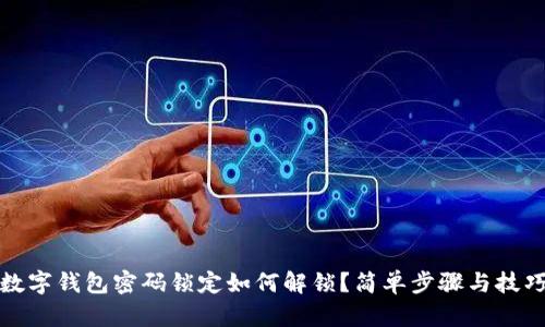 数字钱包密码锁定如何解锁？简单步骤与技巧