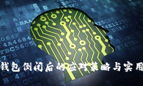 小狐钱包倒闭后的应对策略与实用建议