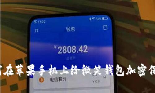 如何在苹果手机上给微笑钱包加密保护？