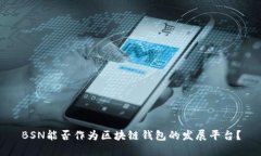 BSN能否作为区块链钱包的