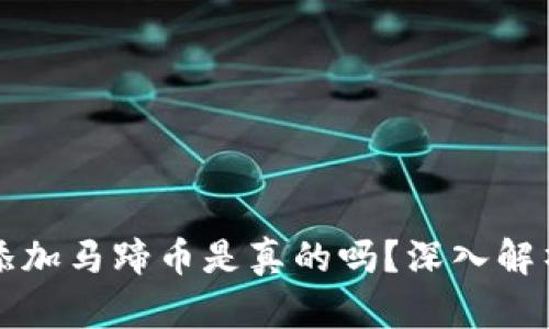小狐钱包添加马蹄币是真的吗？深入解析背后真相
