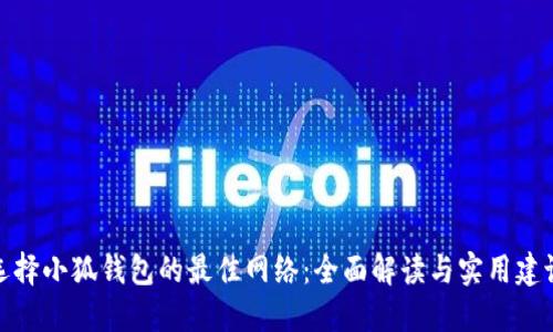 选择小狐钱包的最佳网络：全面解读与实用建议