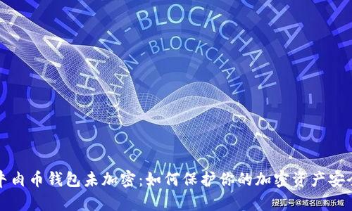 牛肉币钱包未加密：如何保护你的加密资产安全