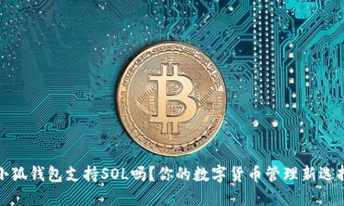 小狐钱包支持SOL吗？你的数字货币管理新选择