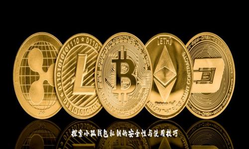 探索小狐钱包私钥的安全性与使用技巧