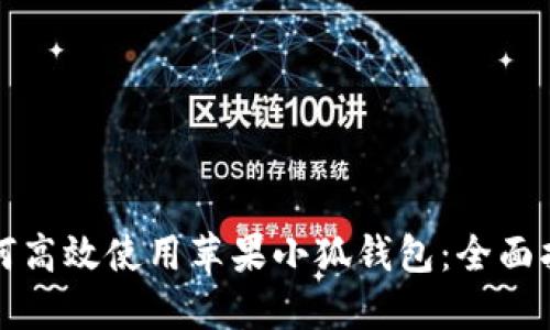 如何高效使用苹果小狐钱包：全面指南