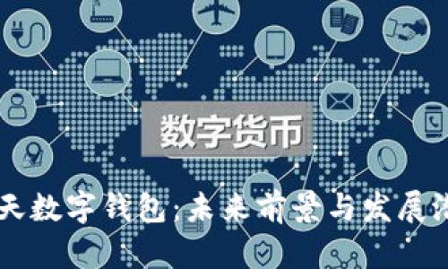 飞天数字钱包：未来前景与发展潜力