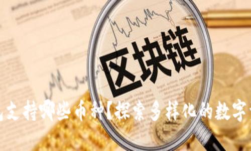 小狐钱包支持哪些币种？探索多样化的数字资产选择