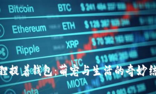 狐狸提着钱包：萌宠与生活的奇妙结合