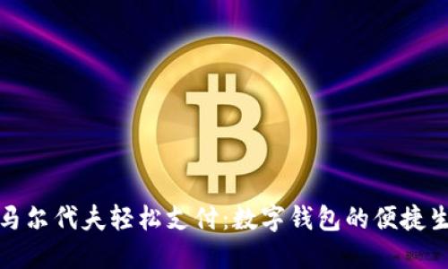 在马尔代夫轻松支付：数字钱包的便捷生活