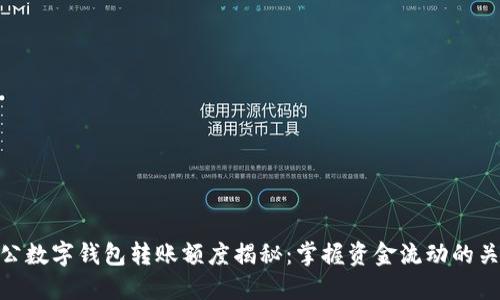 对公数字钱包转账额度揭秘：掌握资金流动的关键