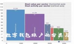 深入探讨数字钱包账户的