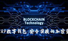 探索瑞波币XRP数字钱包：