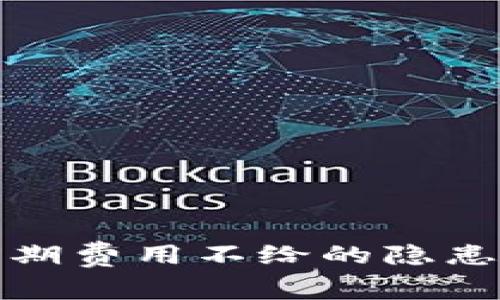 数字钱包前期费用不给的隐患与解决方案
