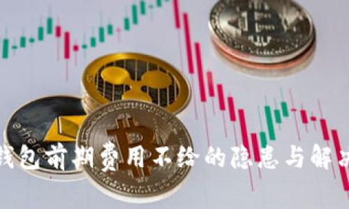 数字钱包前期费用不给的隐患与解决方案