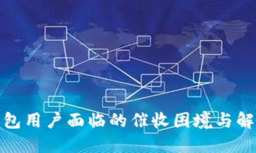 数字钱包用户面临的催收困境与解决方案
