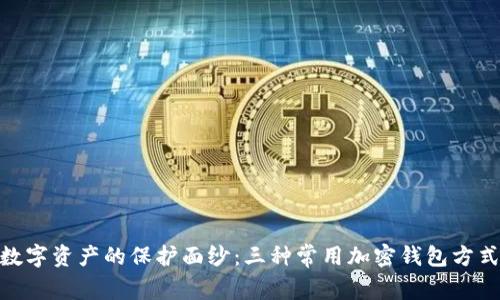 : 揭开数字资产的保护面纱：三种常用加密钱包方式大揭秘