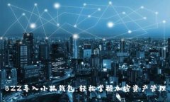 BZZ导入小狐钱包：轻松掌