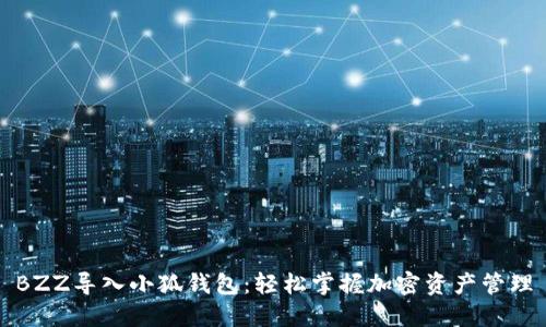 BZZ导入小狐钱包：轻松掌握加密资产管理
