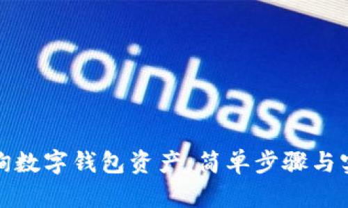 如何查询数字钱包资产：简单步骤与实用技巧