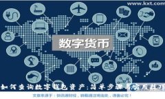 如何查询数字钱包资产：
