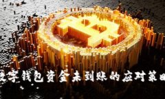 数字钱包资金未到账的应