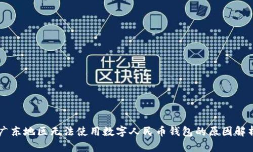 广东地区无法使用数字人民币钱包的原因解析